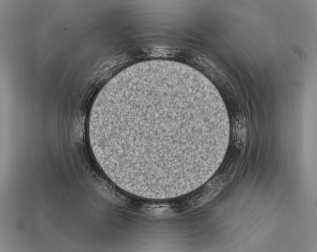 X0000112400554200909251438