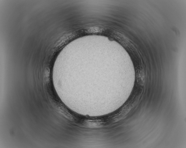 X0000112400556200909251438