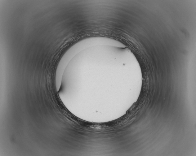 X0000112400558200909251438