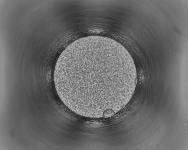 X0000112400559200909251438