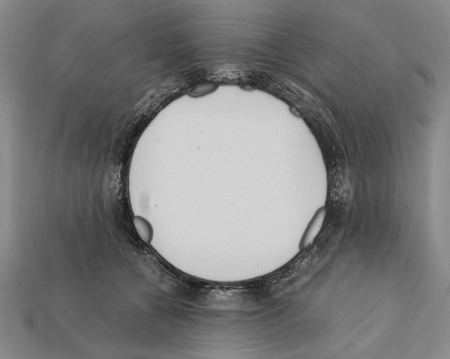 X0000112400560200909251438