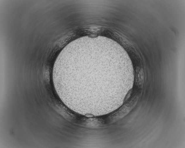 X0000112400562200909251438