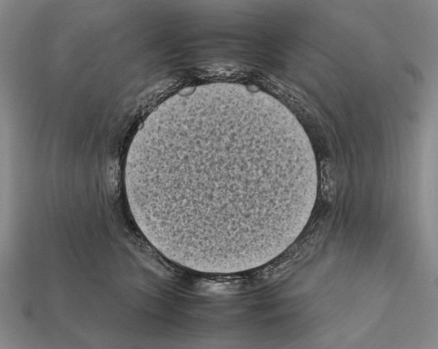 X0000112400563200909251438