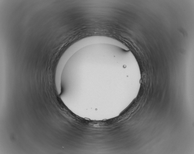 X0000112400564200909251438