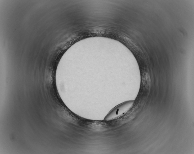 X0000112400566200909251438