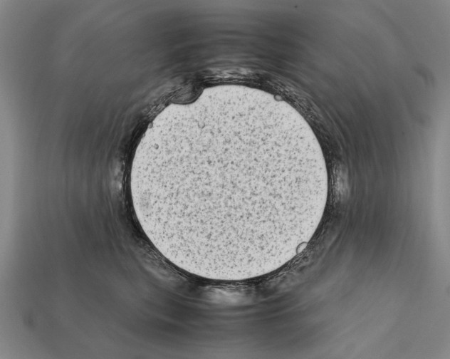 X0000112400567200909251438