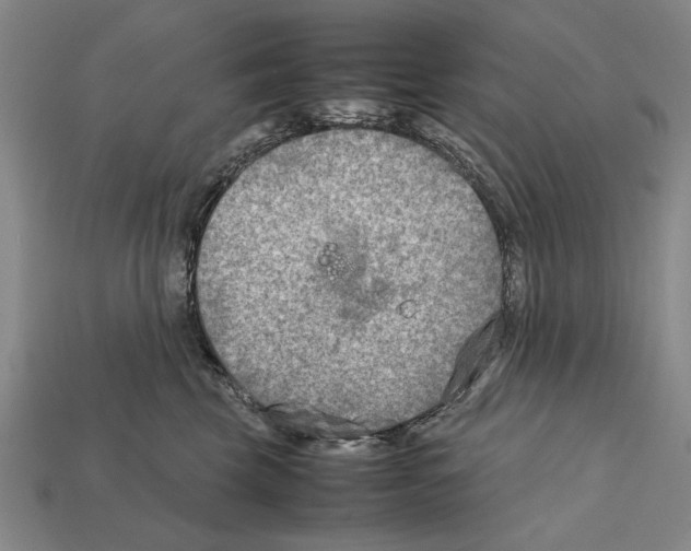 X0000112400569200909251438