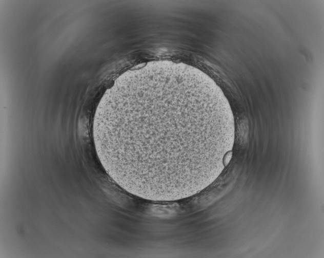 X0000112400571200909251438