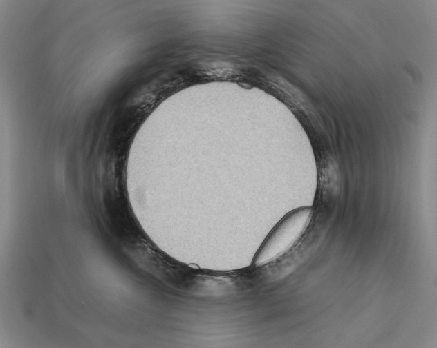 X0000112400572200909251438