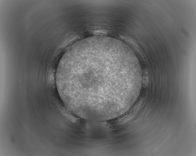 X0000112400573200909251438