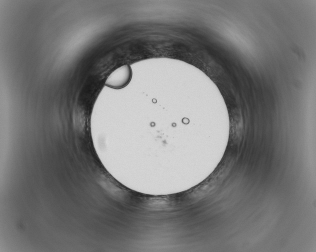 X0000112400574200909251438