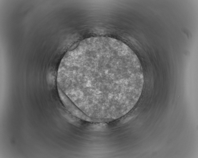 X0000112400576200909251438