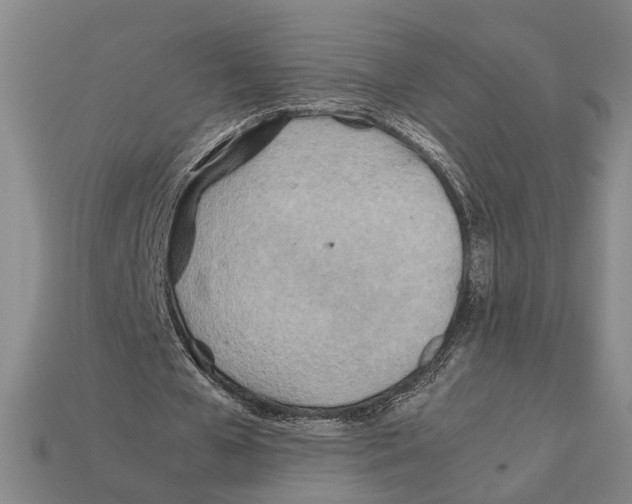X0000112400577200909251438