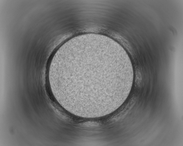 X0000112400578200909251438