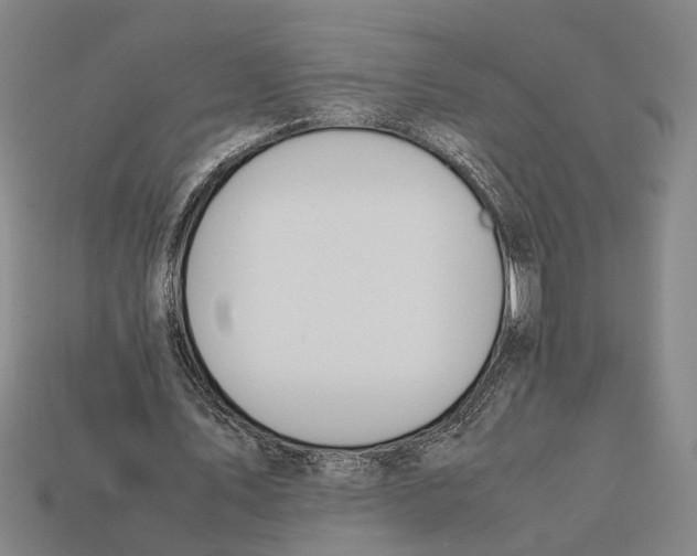 X0000112400579200909251438