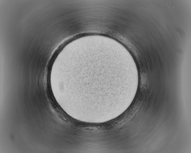 X0000112400580200909251437