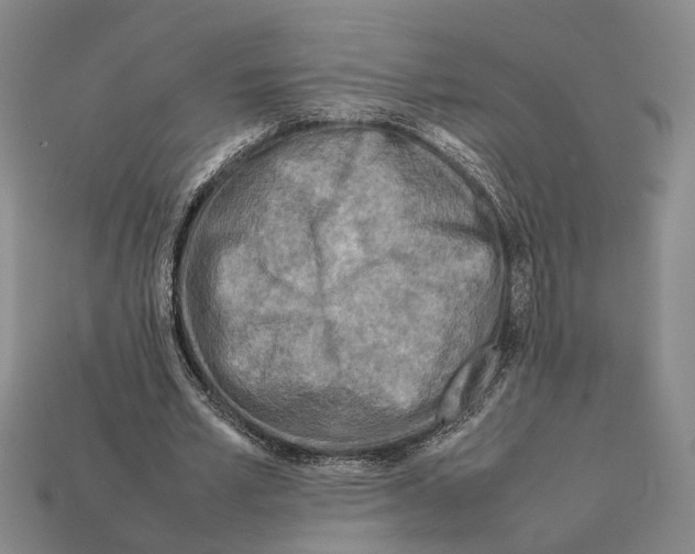 X0000112400581200909251437