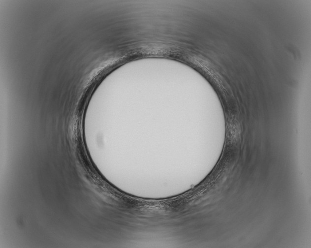 X0000112400583200909251437