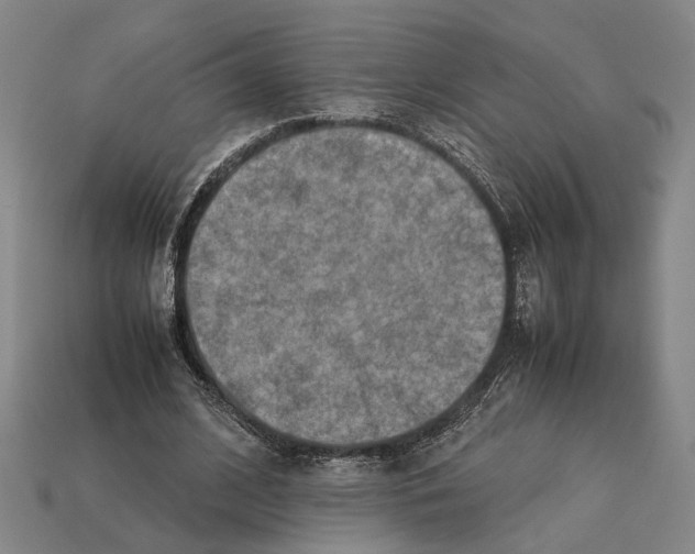 X0000112400584200909251437