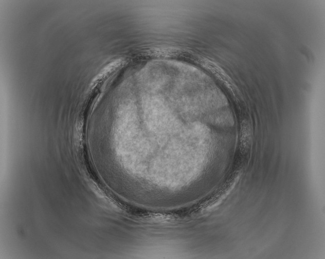 X0000112400585200909251437