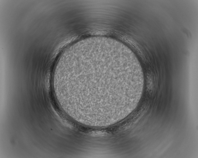 X0000112400586200909251437
