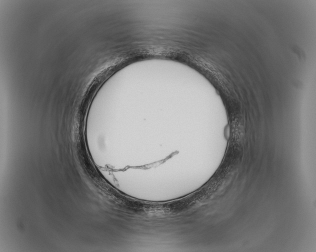 X0000112400587200909251437