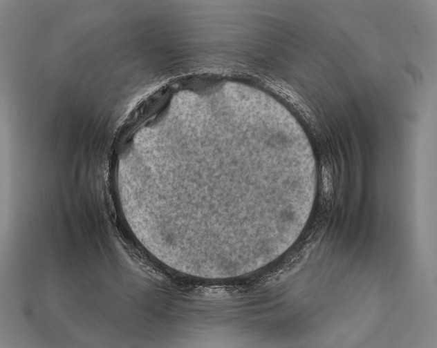 X0000112400588200909251437