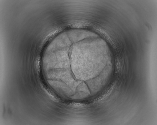 X0000112400590200909251437