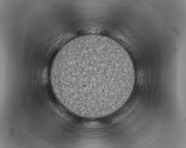 X0000112400594200909251437