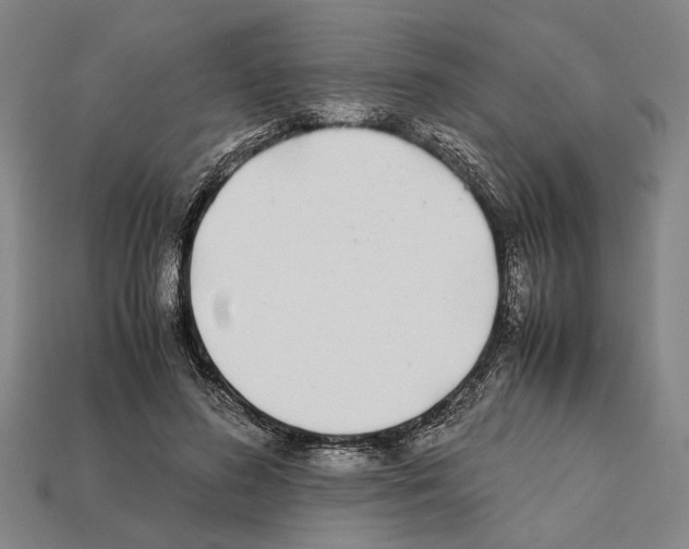 X0000112400596200909251437