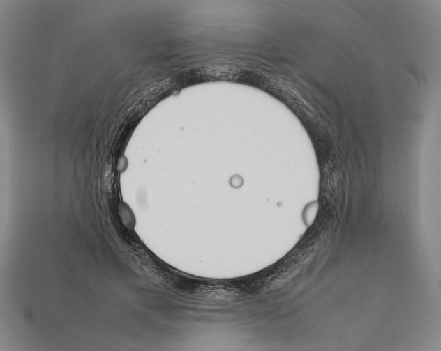 X0000112400597200909251437