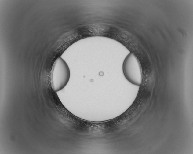 X0000112400599200909251437
