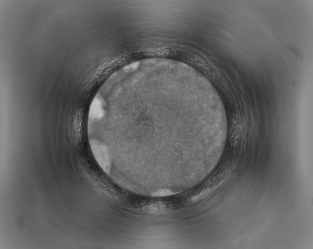 X0000112400600200909251437