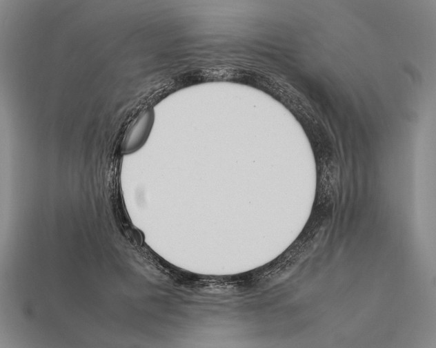 X0000112400601200909251437