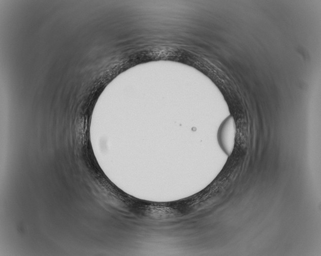 X0000112400605200909251437