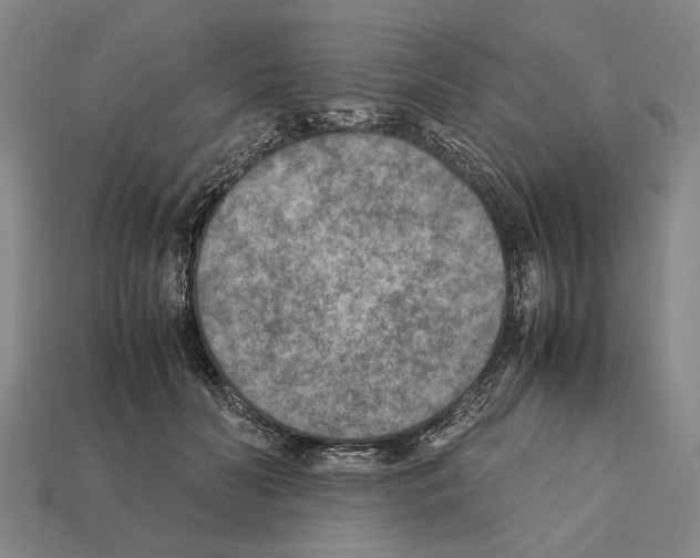 X0000112400606200909251437