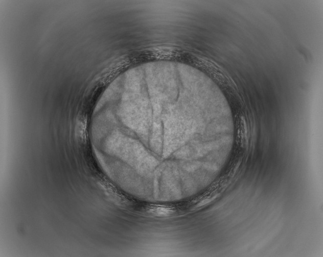 X0000112400610200909251437