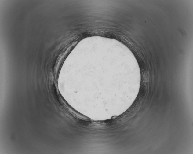 X0000112400617200909251437