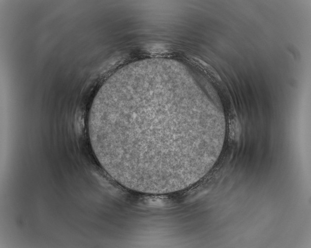 X0000112400618200909251437