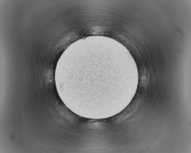 X0000112400620200909251437