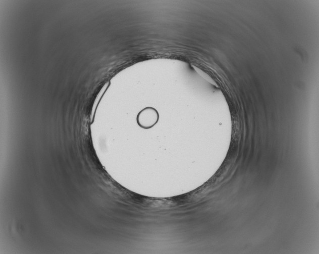 X0000112400621200909251437