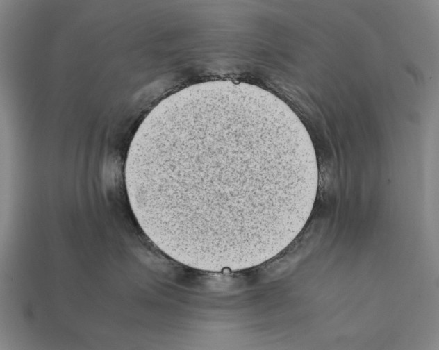 X0000112400623200909251437