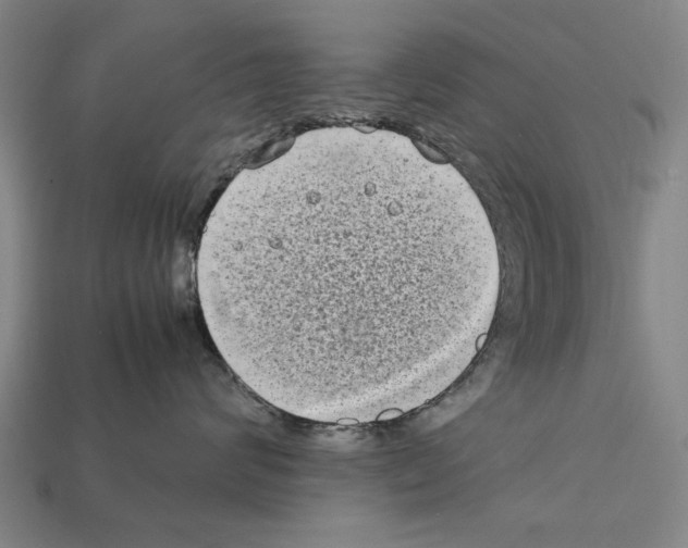 X0000112400624200909251437