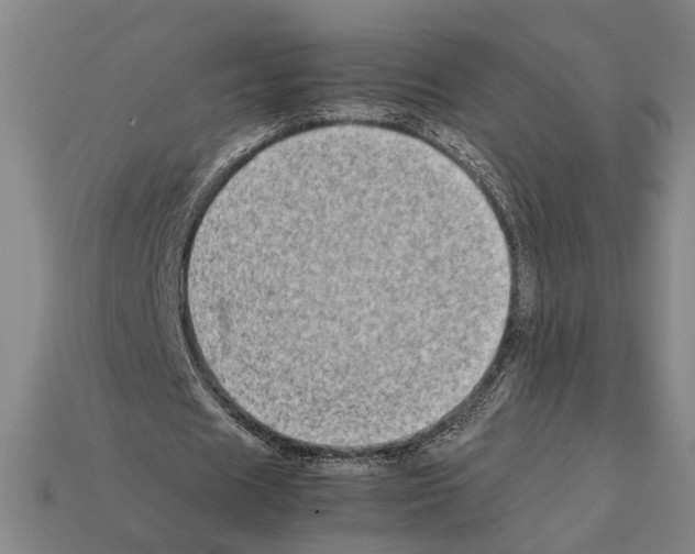X0000112400625200909251436