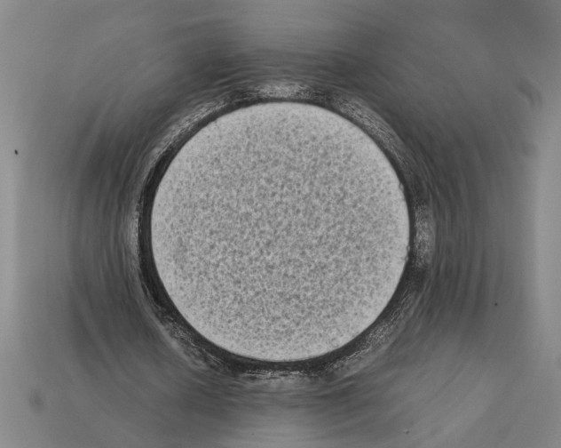 X0000112400626200909251436