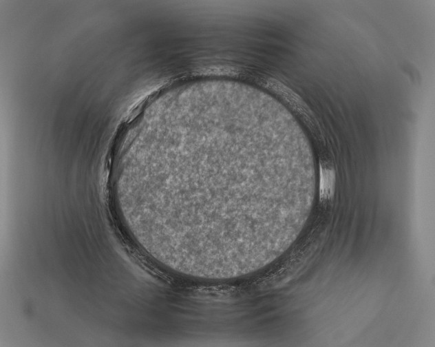X0000112400627200909251436