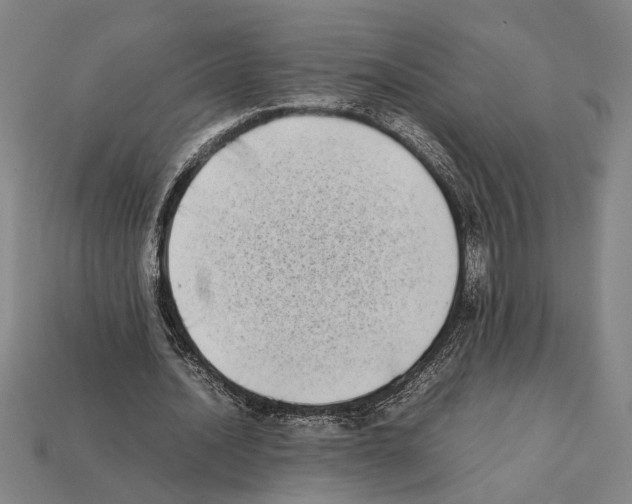 X0000112400628200909251436