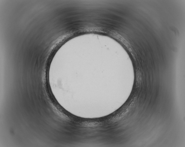 X0000112400629200909251436