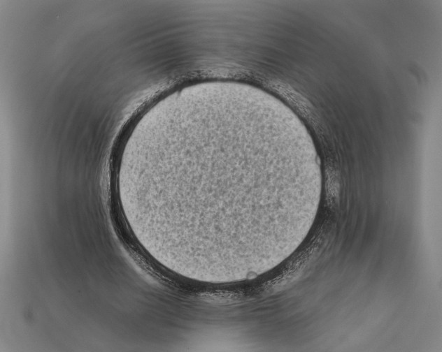 X0000112400630200909251436