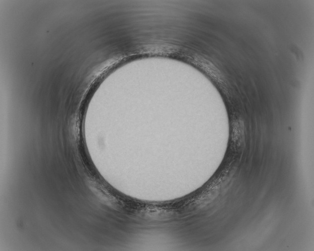 X0000112400632200909251436
